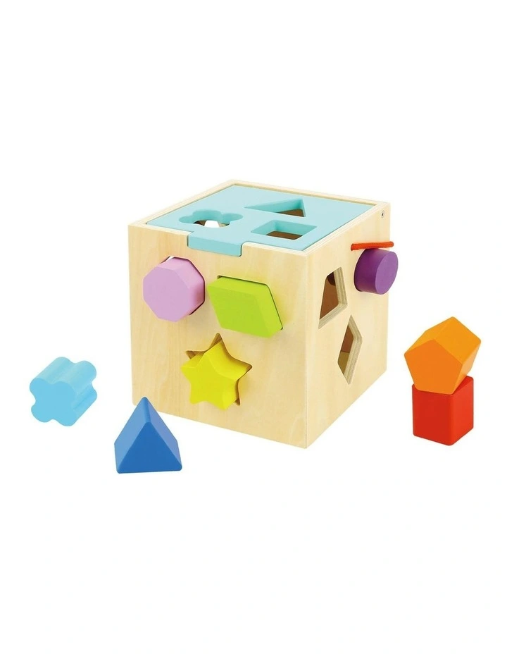 Sorter Wooden Blocks Set 12 Pieces image 1