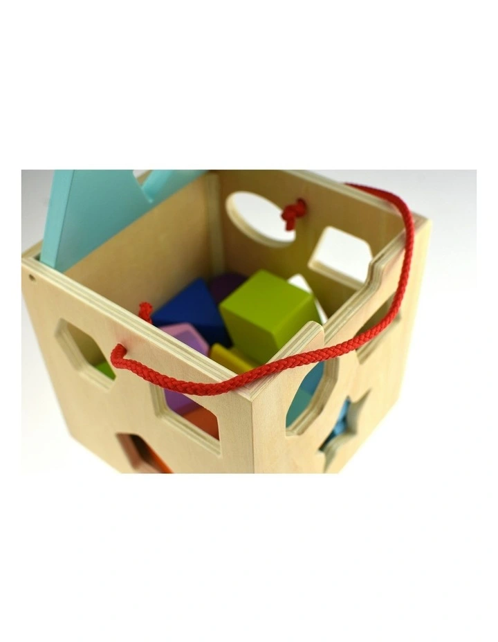 Sorter Wooden Blocks Set 12 Pieces image 2