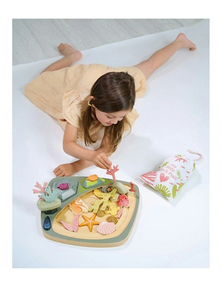 My Little Rock Pool Seashell Wood Toy Set 35cm (3Years ) image 7