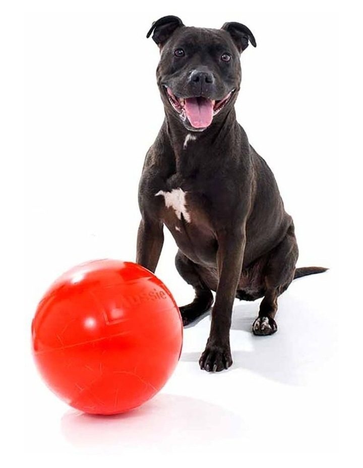 Aussie Dog Products Staffie Dog Ball Large Heavy Duty Tough Pets Chew Toy Orange 24cm Myer