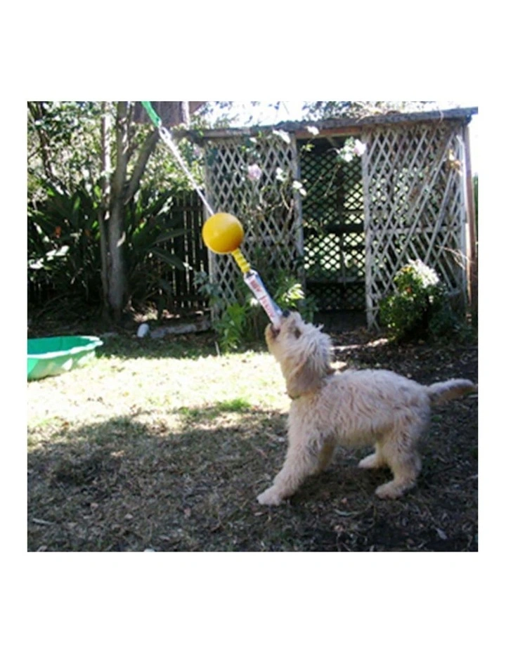 Aussie Dog Products Home Alone Pet Interactive Dog Toy Ball Food Dispenser Small 5 10kg Myer