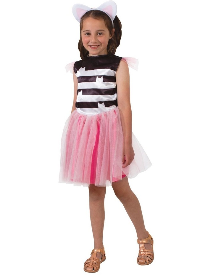 Gabby Tutu Costume Assorted