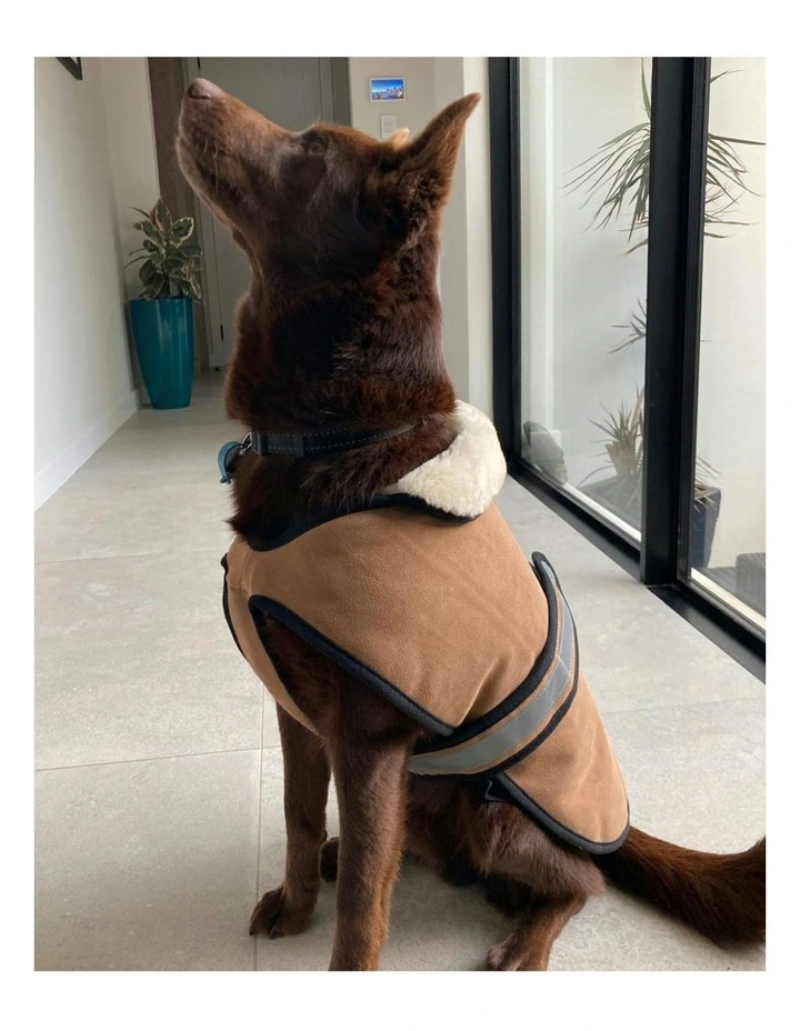 Weatherproof Dog Coat lined with Sheepskin in Tan/Natural image 7