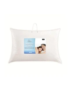 Feather & Down Standard Pillow