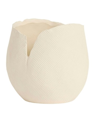 Cream colour