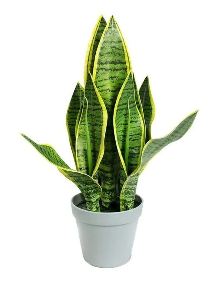 Faux Artificial Home Decor Potted Tiger Piran Plant 40cm in Green image 1