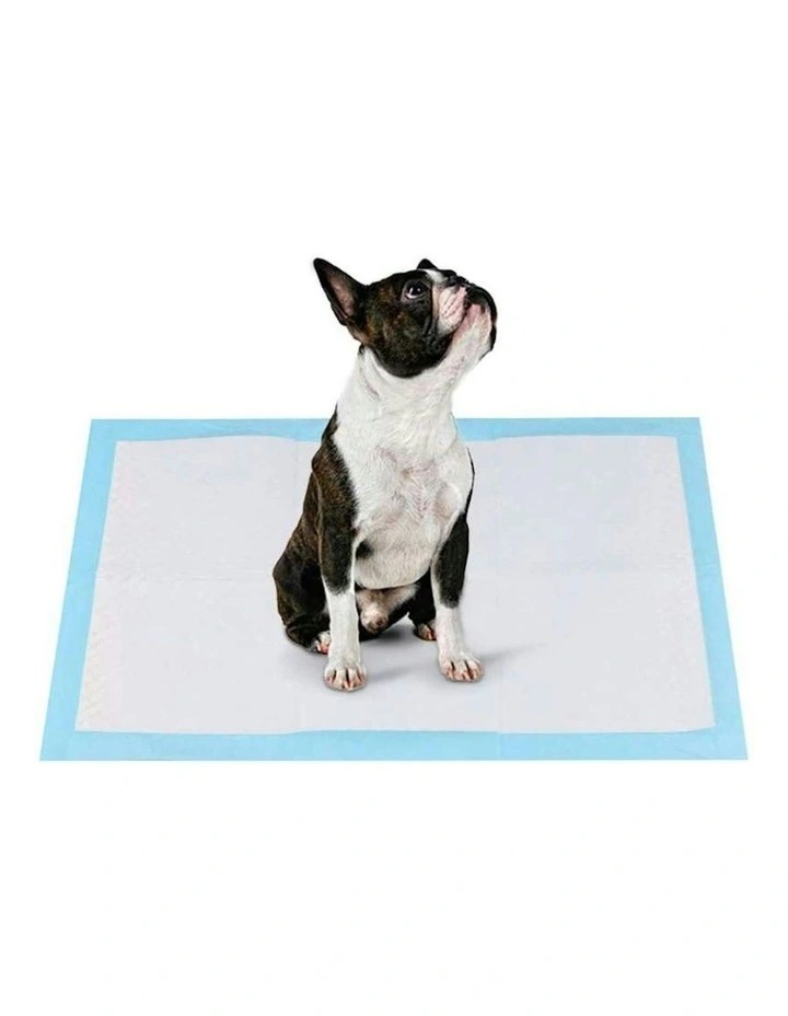 Absorbent Training Pad 60x60cm 50 Pack in Blue image 1