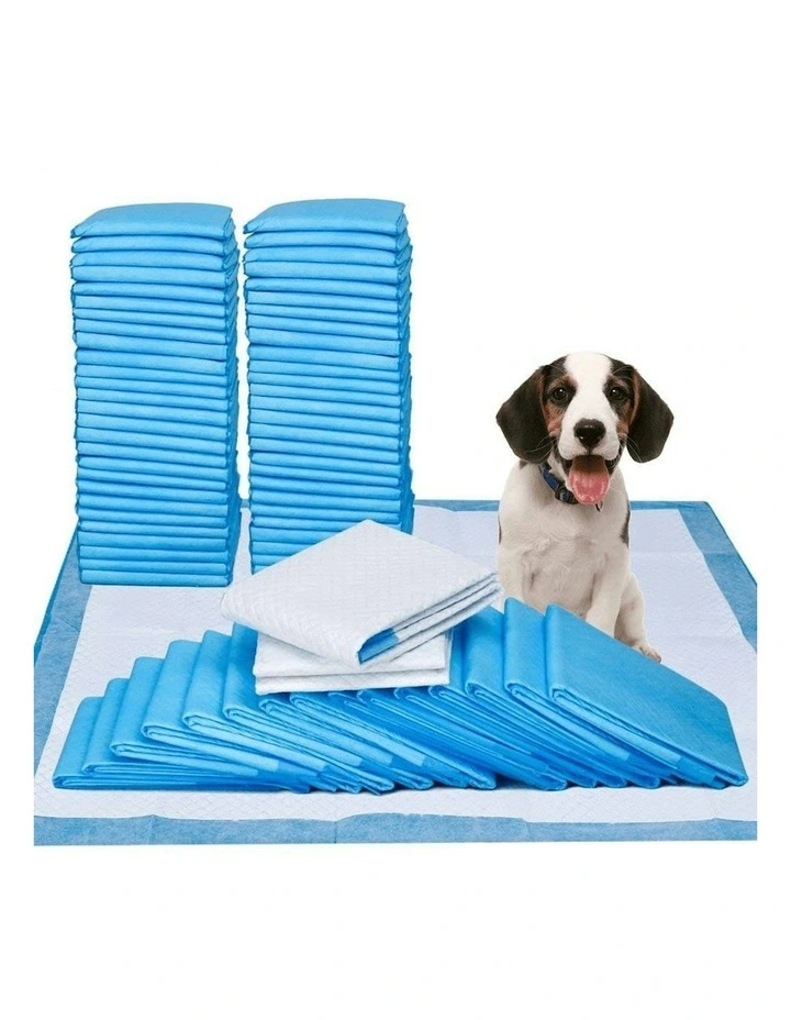 Absorbent Training Pad 60x60cm 50 Pack in Blue image 2