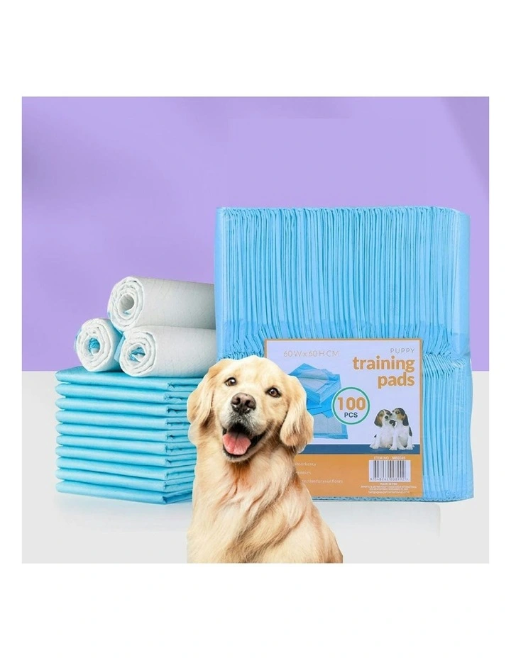 Absorbent Training Pad 60x60cm 50 Pack in Blue image 7