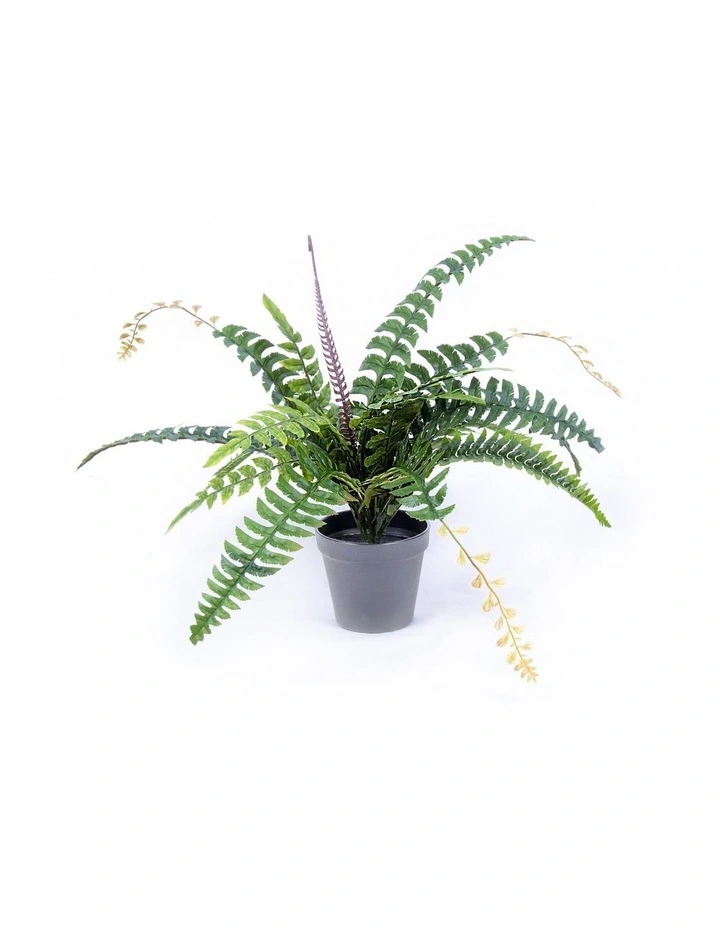 Fern Potted Faux Plant image 1