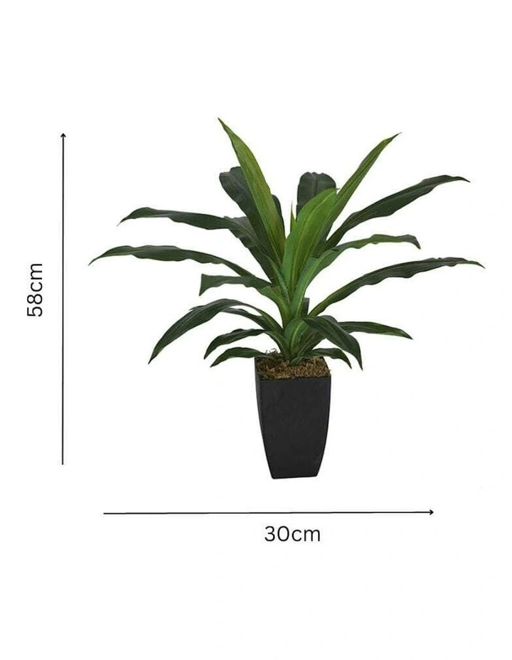 Artificial Dracaena Janet Craig in Pot in Green image 7