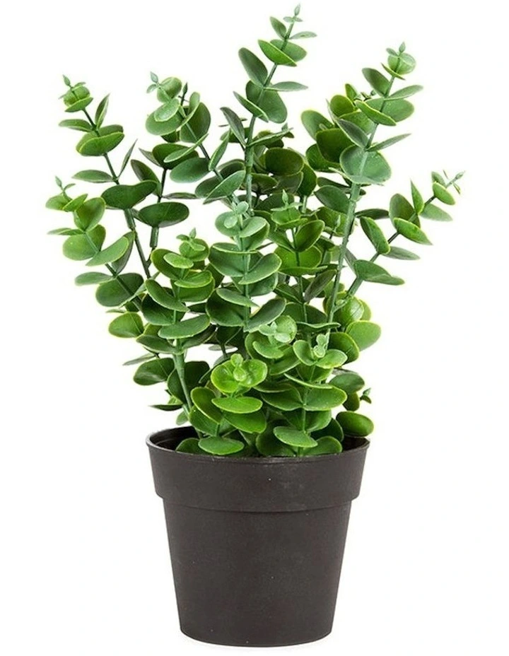 Artificial Eucalyptus Plant Pot in Green image 1