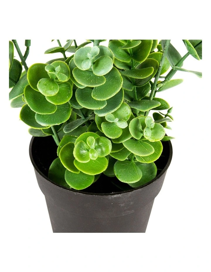 Artificial Eucalyptus Plant Pot in Green image 2