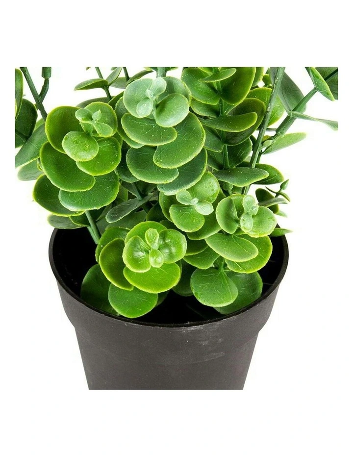Artificial Eucalyptus Plant Pot in Green image 6