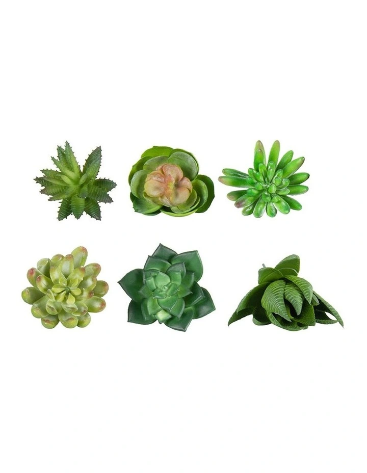 Artificial Succulent Stem Set of 6 in Multi image 1
