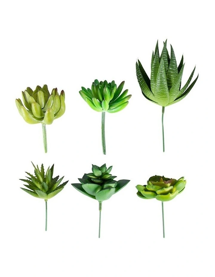 Artificial Succulent Stem Set of 6 in Multi image 2