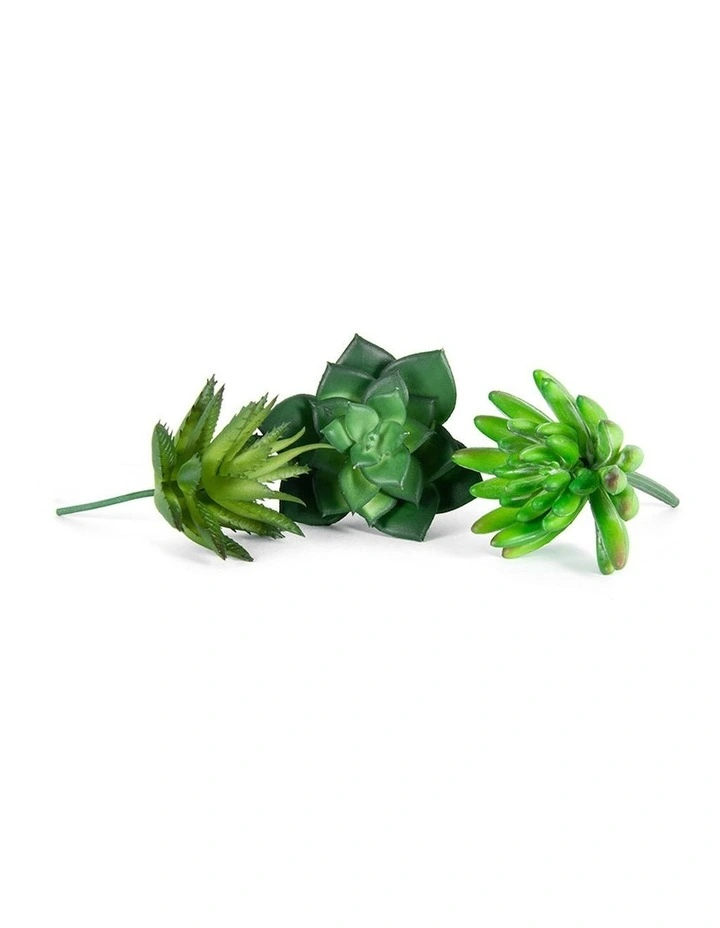 Artificial Succulent Stem Set of 6 in Multi image 3