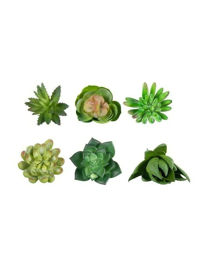 Artificial Succulent Stem Set of 6 in Multi image 4