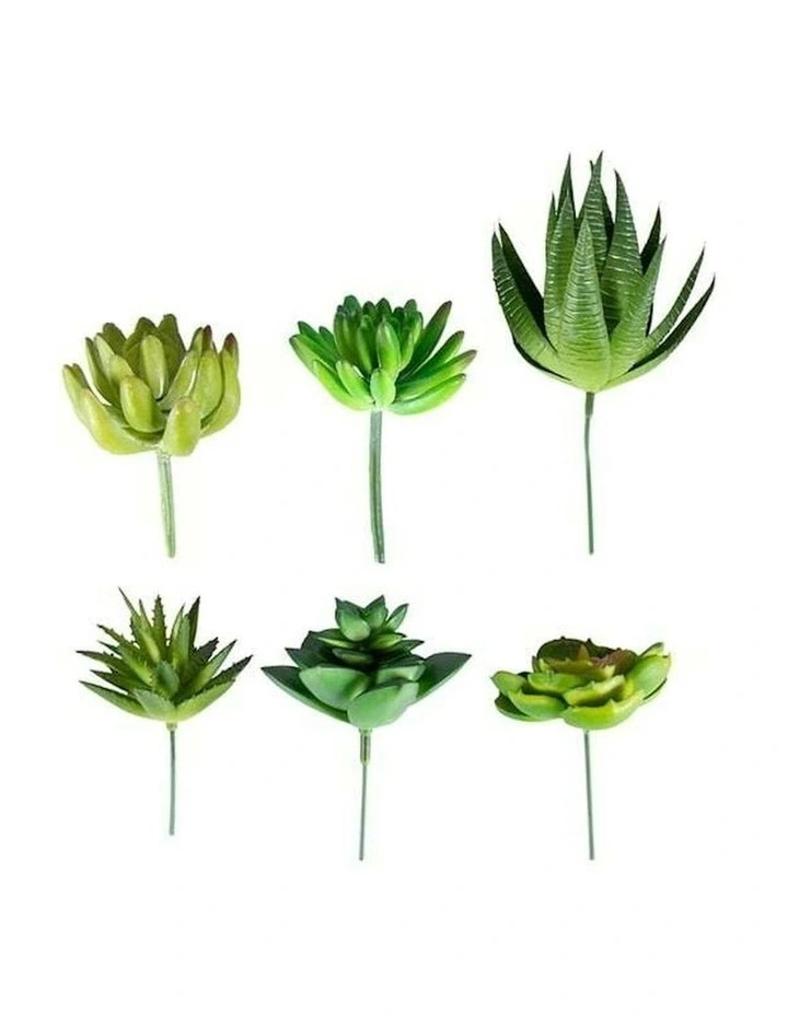 Artificial Succulent Stem Set of 6 in Multi image 5