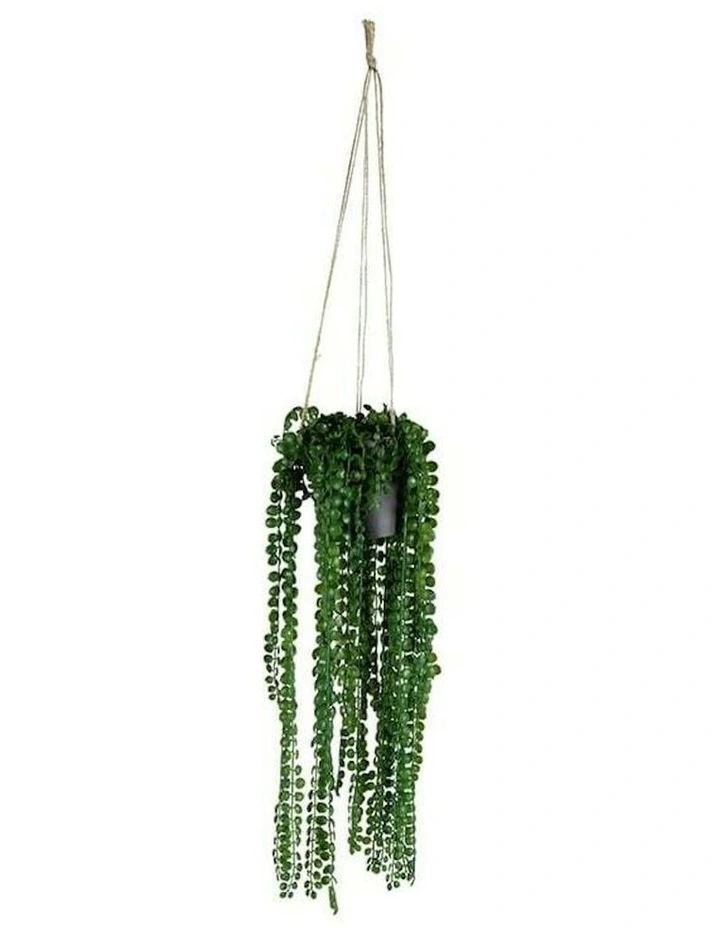 Artificial Coin-Leaf Peperomia Hanging in Green image 3
