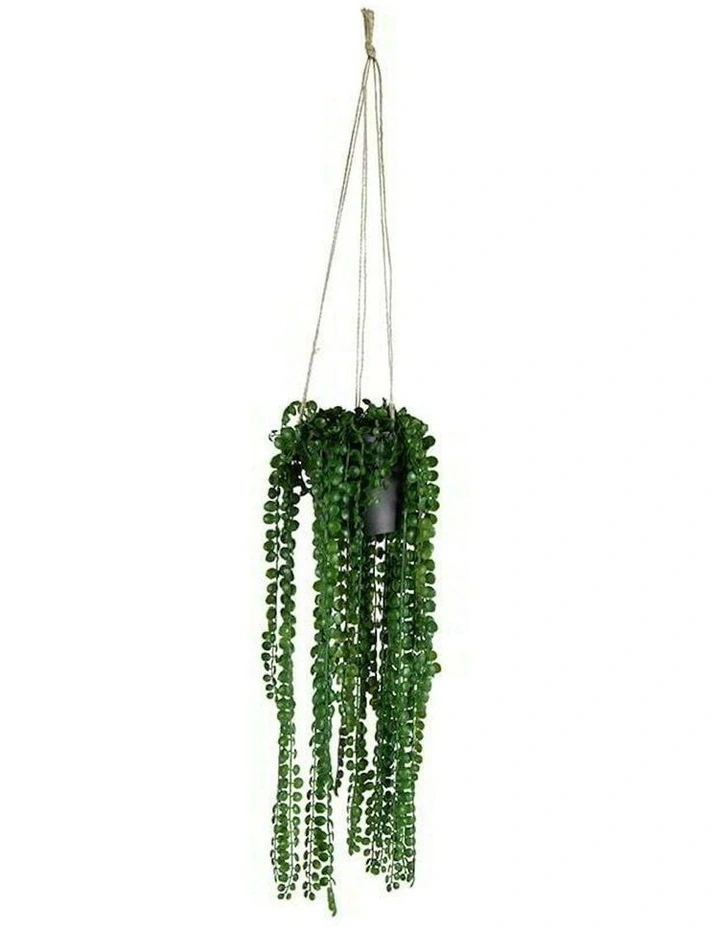 Artificial Coin-Leaf Peperomia Hanging in Green image 5