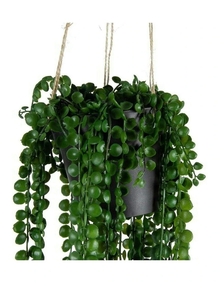 Artificial Coin-Leaf Peperomia Hanging in Green image 6