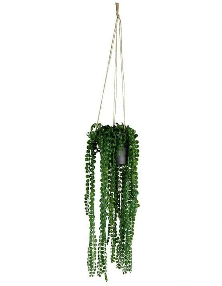 Artificial Coin-Leaf Peperomia Hanging in Green image 7