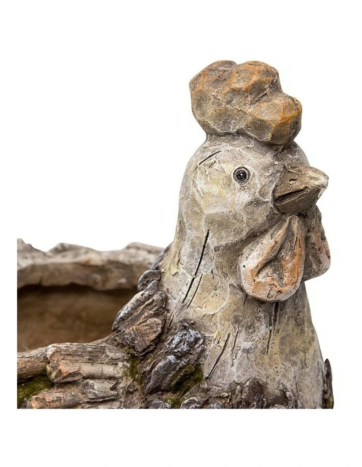 Rooster Planter in Natural image 4