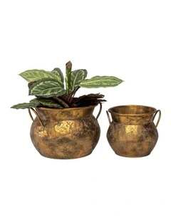 Moroccan Antique Pots Set of 2 in Distressed Gold