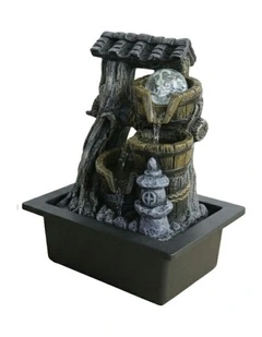 Fortune Well Fountain 23x18x27cm in Multi