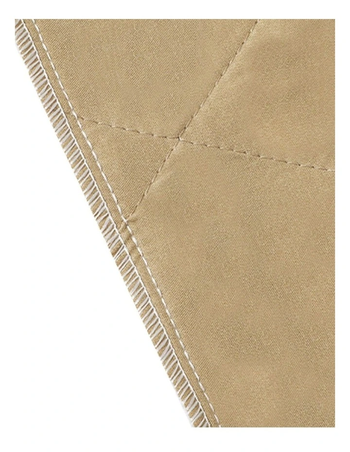Reusable Jumbo Toilet Training Pads 120x120cm x2 in Brown image 5