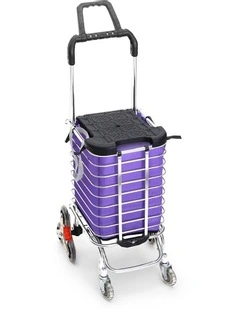 Foldable Shopping Cart in Purple