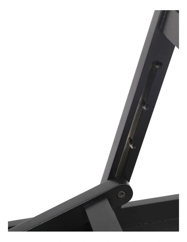 Adjustable Dog Ramp in Black image 4