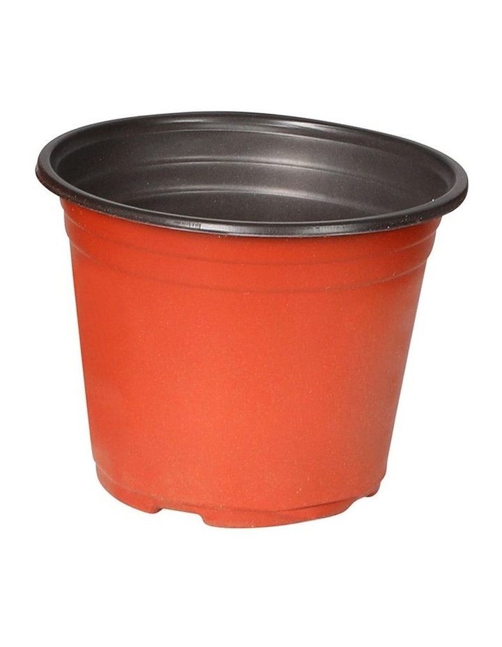 Plastic Plant Pots 100 Pack in Black/Red Assorted