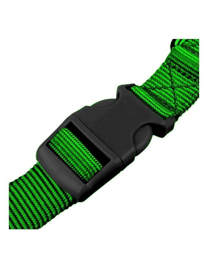 Adjustable Dog Waist Belt Leash in Green image 4