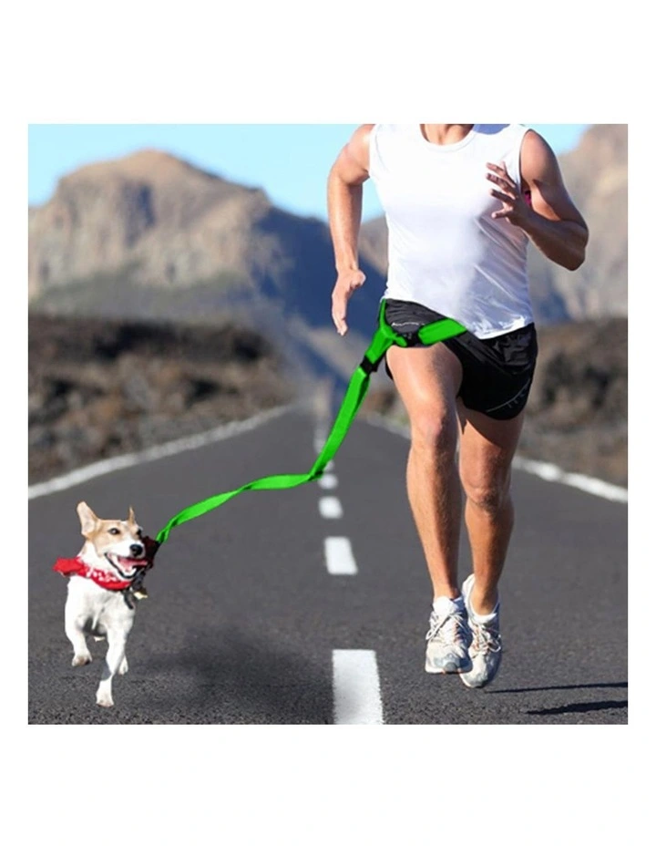 Adjustable Dog Waist Belt Leash in Green image 7