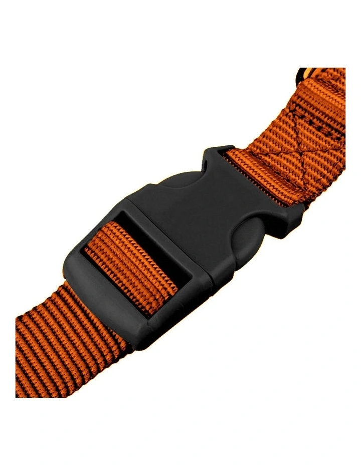 Adjustable Dog Waist Belt Leash in Orange image 4
