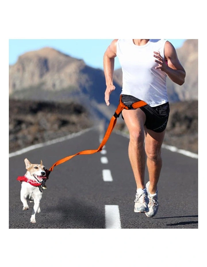 Adjustable Dog Waist Belt Leash in Orange image 7