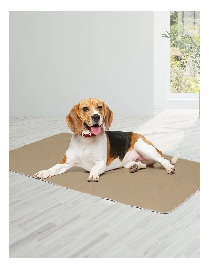 Reusable Puppy Toilet Training Pads 60x90cm Size L in Brown image 7
