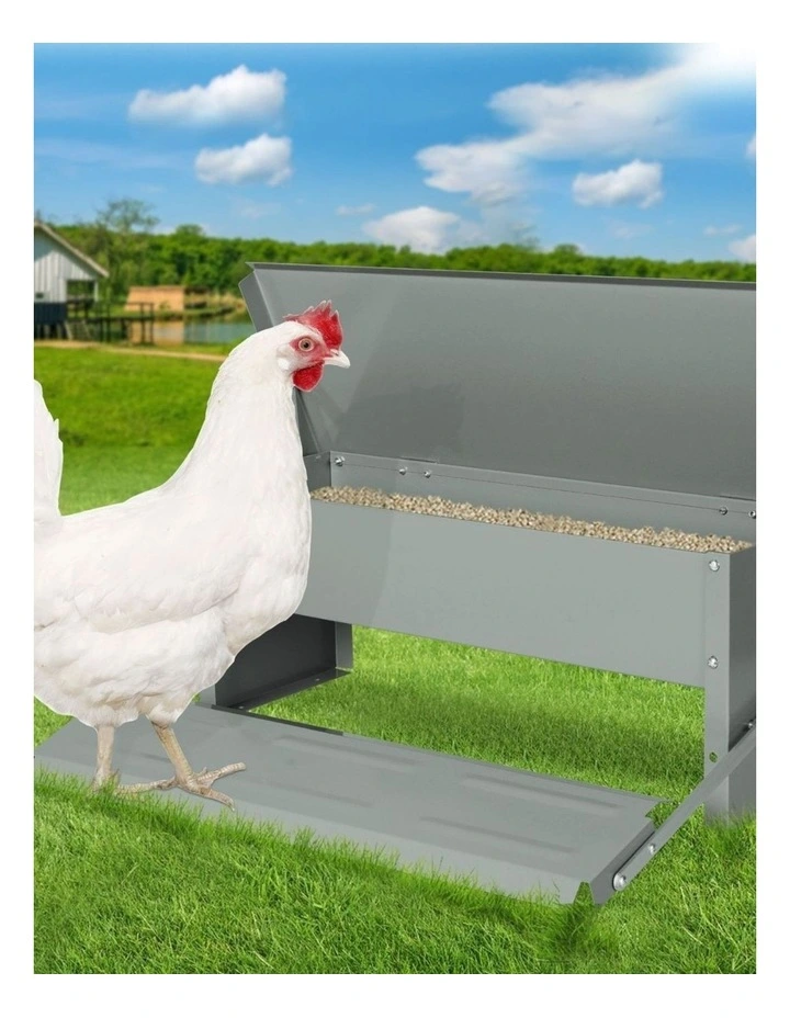 Auto Automatic Chicken Feeder 10kg in Silver image 2