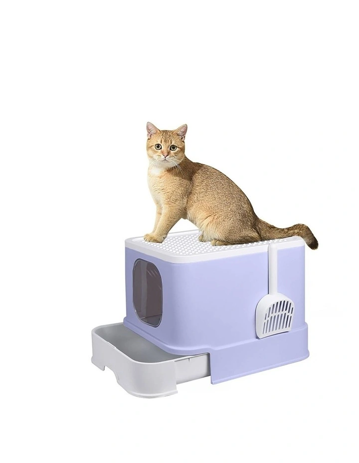 Cat Litter Box in Purple image 7