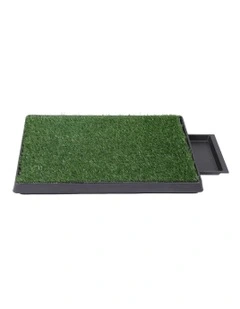 Indoor Large Potty Pad in Green