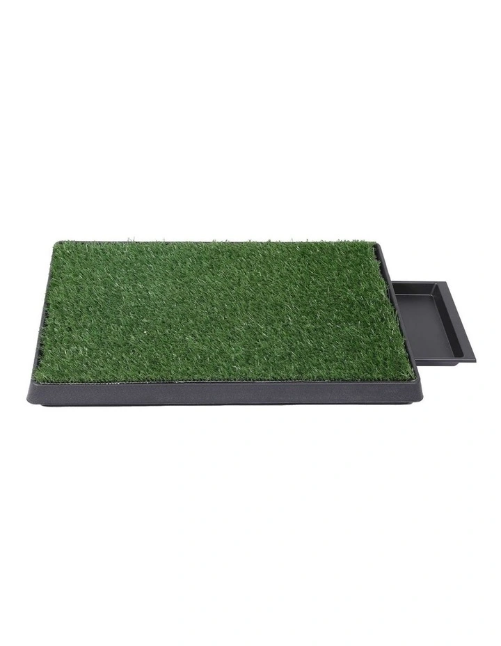 Indoor Large Potty Pad in Green image 1