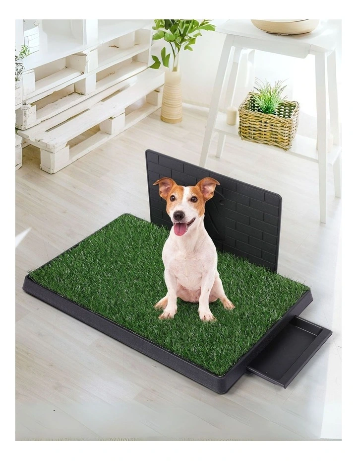 Indoor Large Potty Pad in Green image 2