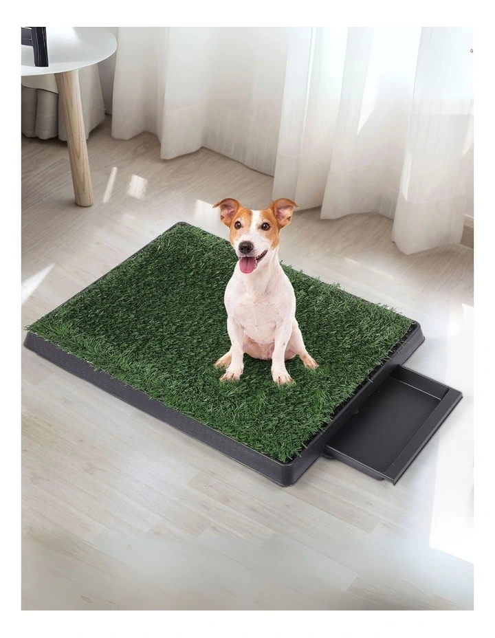 Indoor Large Potty Pad in Green image 7