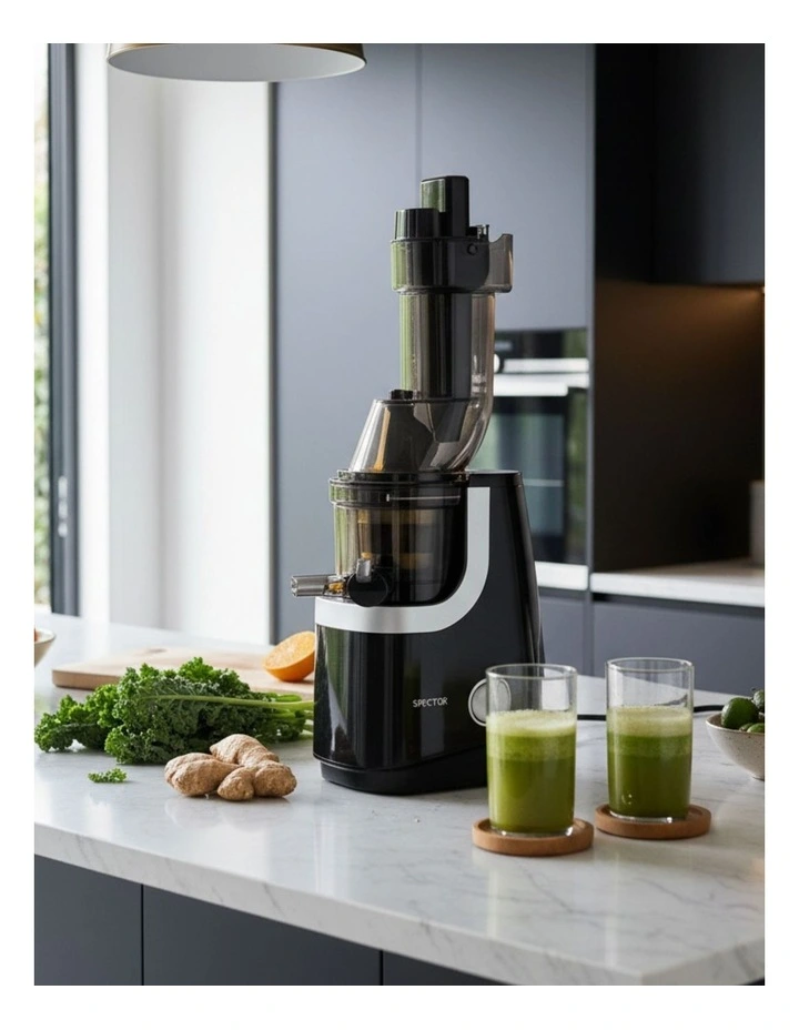 Slow Fruit Juicer Cold Press in Black image 2