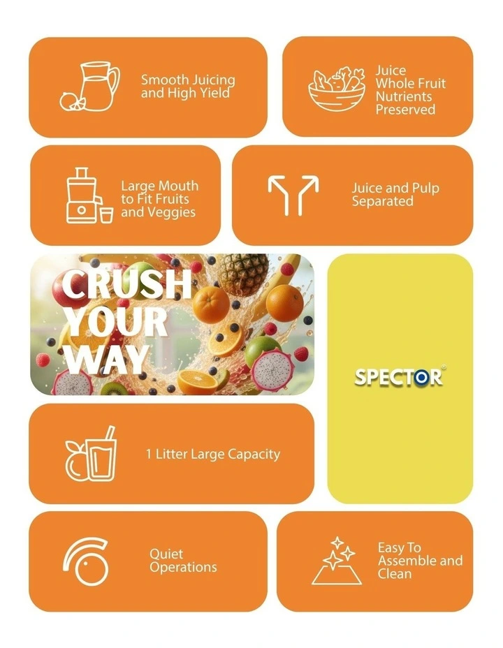 Slow Fruit Juicer Cold Press in Black image 4