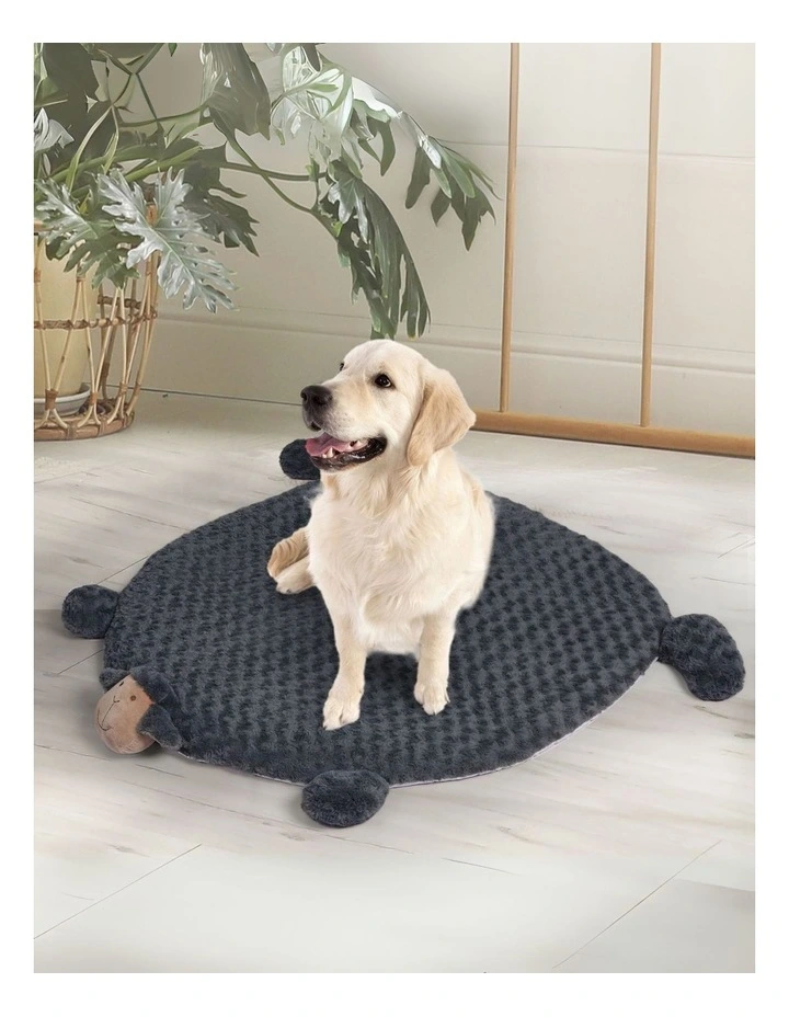 Cushion Puppy Memory Foam Calming Bed M in Charcoal image 2
