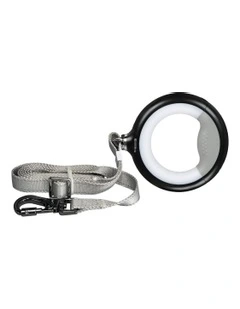 LED Pet Leash Lead Walking Rope 2m in Black