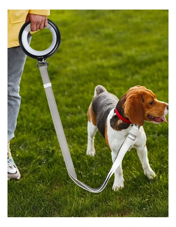 LED Pet Leash Lead Walking Rope 2m in Black image 7